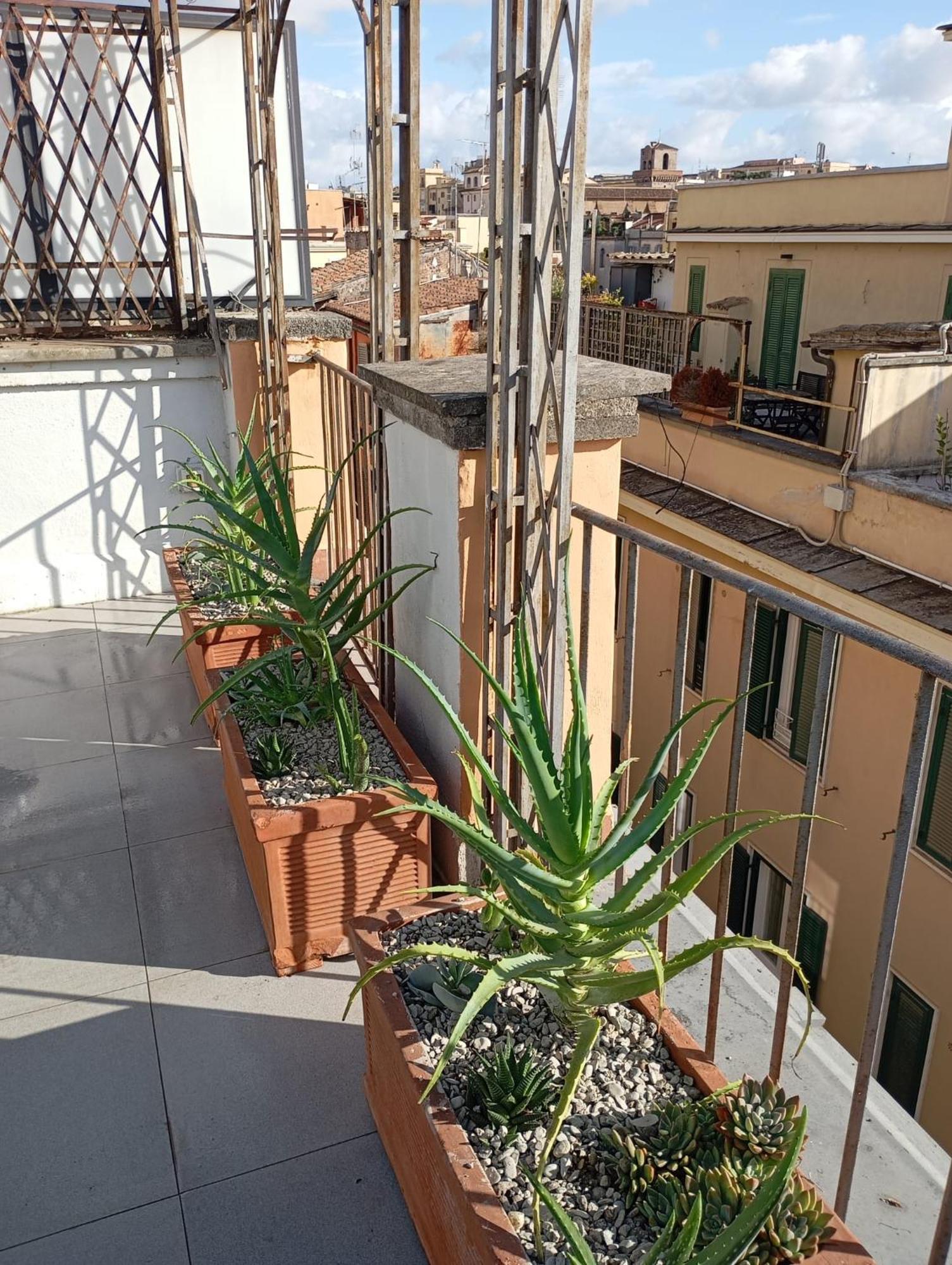 Colosseum Exclusive Duplex ローマ エクステリア 写真